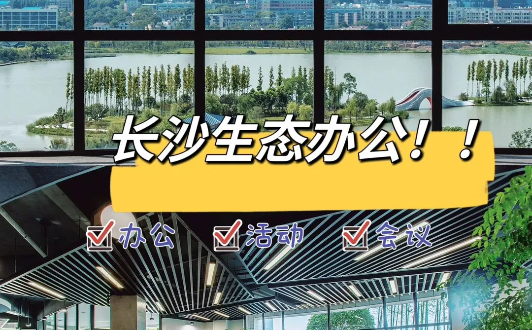 中小企业融资实战课：梦想起航的港湾 ?
