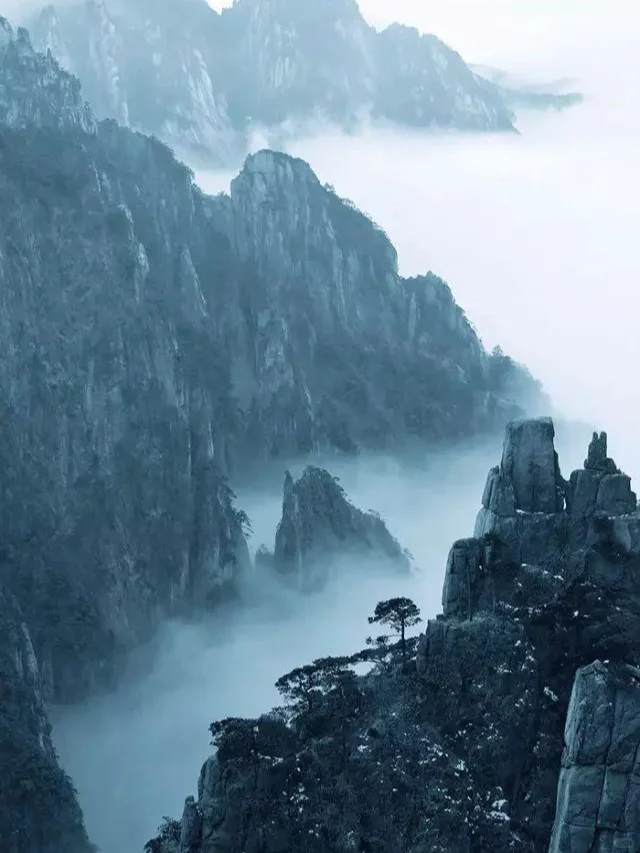 为什么企业都想上市？