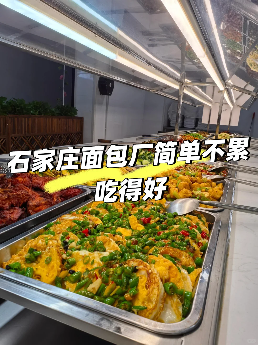 石家庄进厂打工啦，一个月4650➕包吃包住