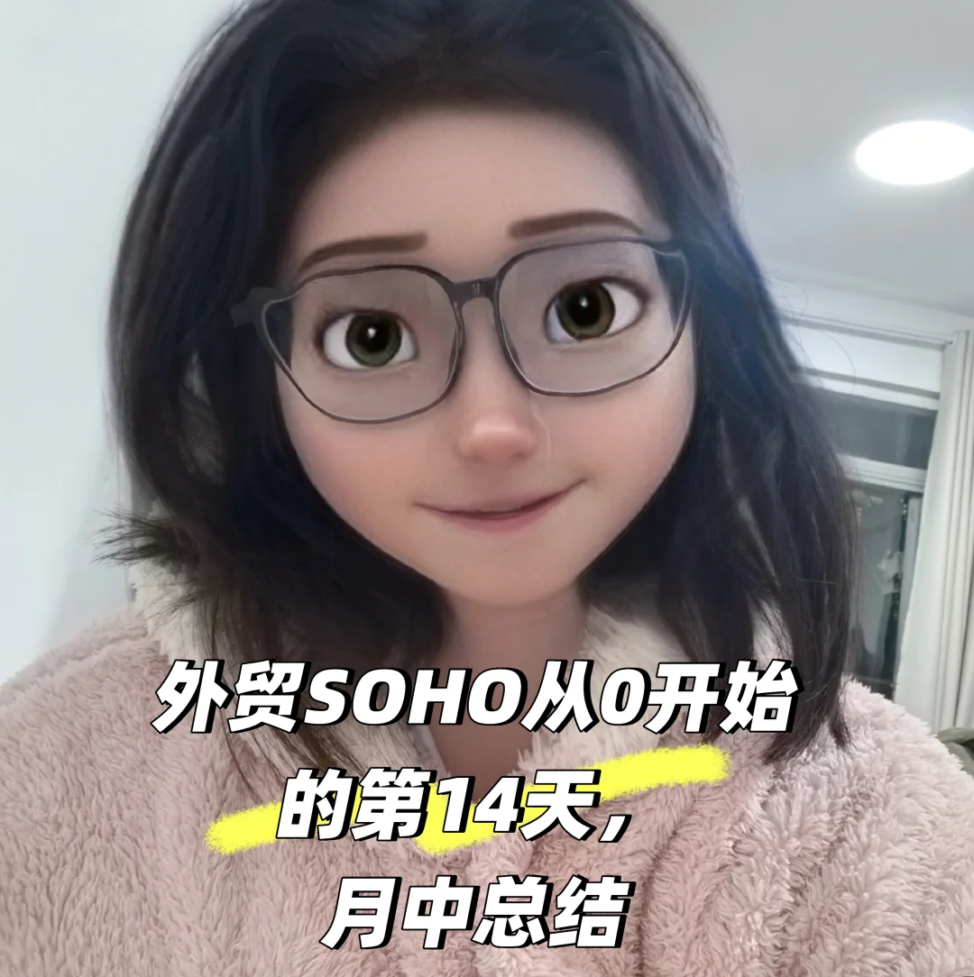 外贸Soho从0开始的第14天，有什么结果