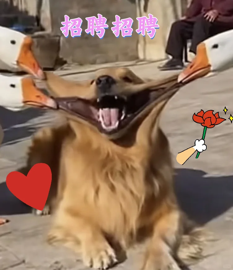 食品厂日结