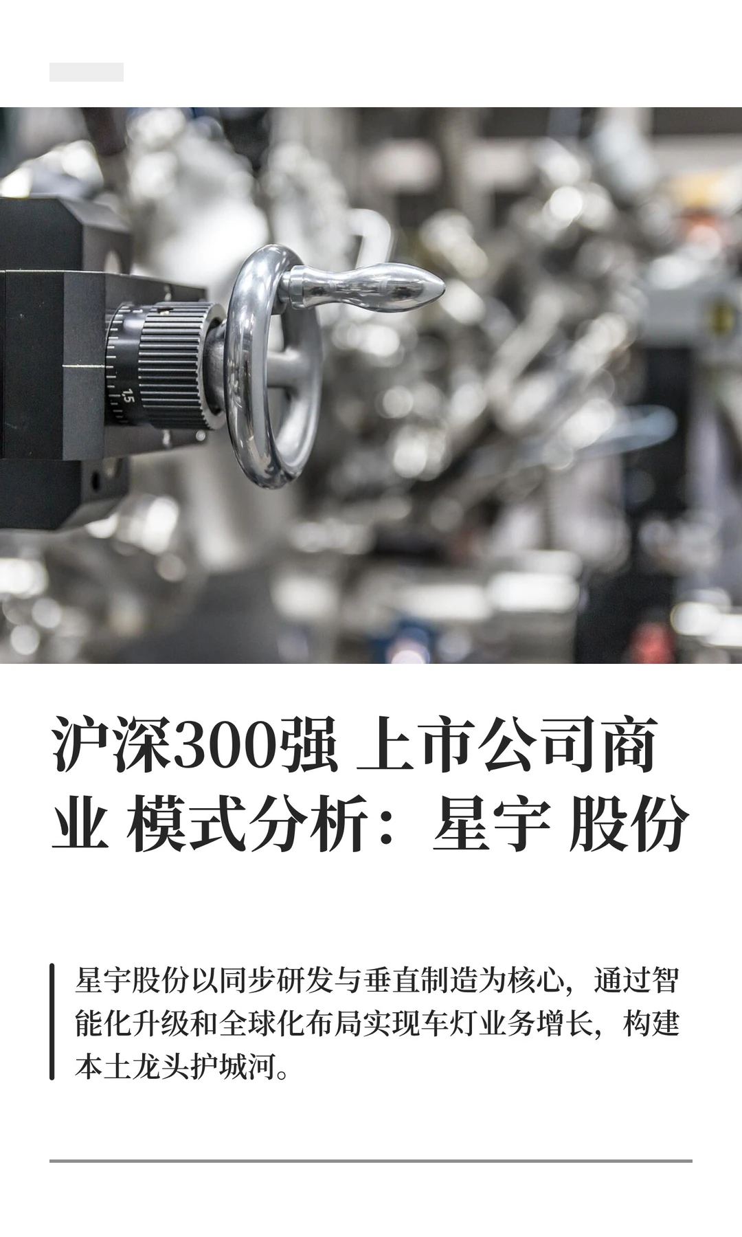 沪深300强上市公司商业模式分析：星宇股份