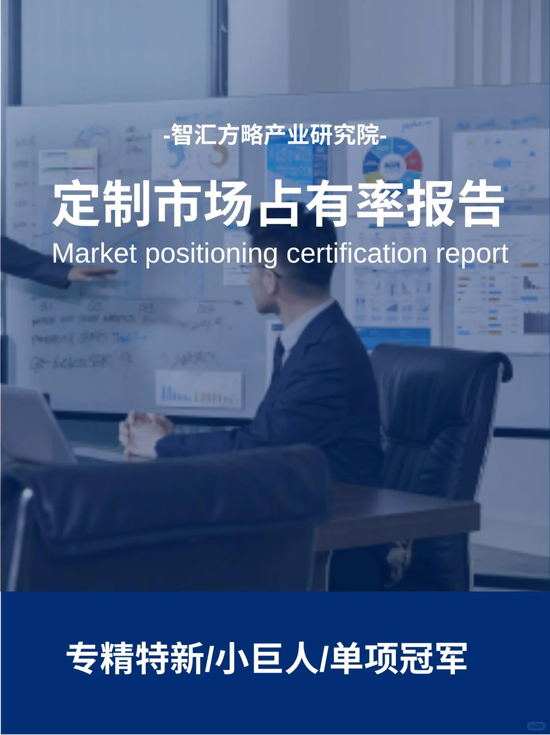 市场占有率自证|专精特新|小巨人|单项冠军