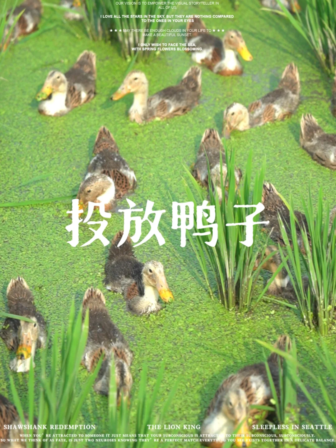 “我们今年少施有机肥了。”