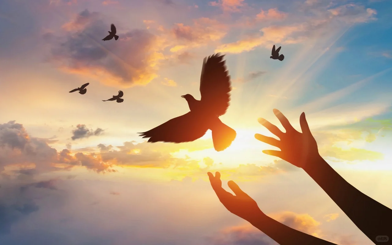 企业上市经历的阶段