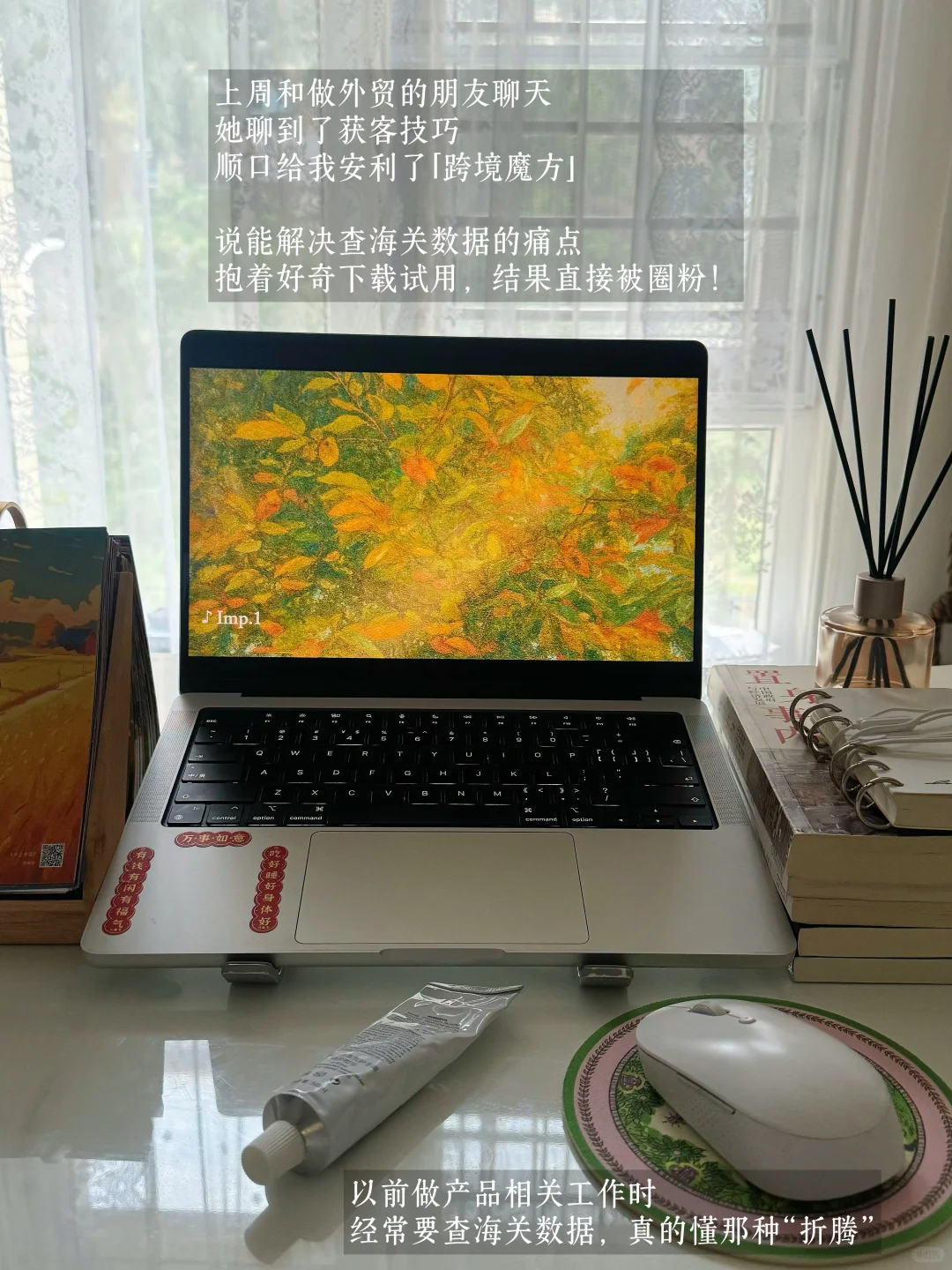 选对工具，外贸小白也能高效获客✅