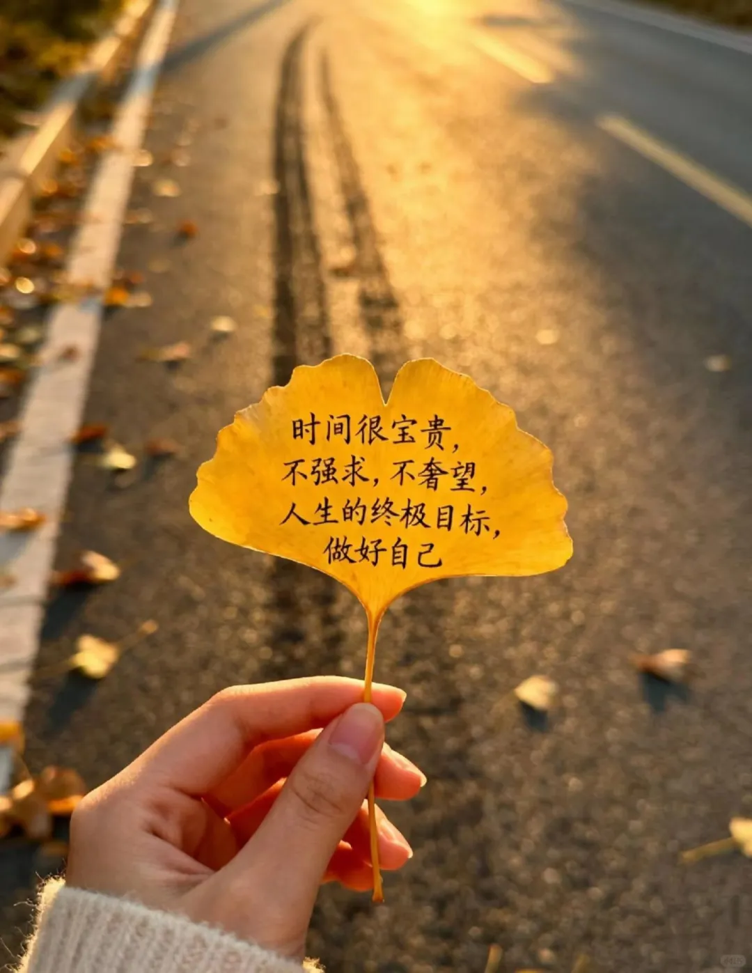 新来的会计税负率不会算，要崩溃了…快来