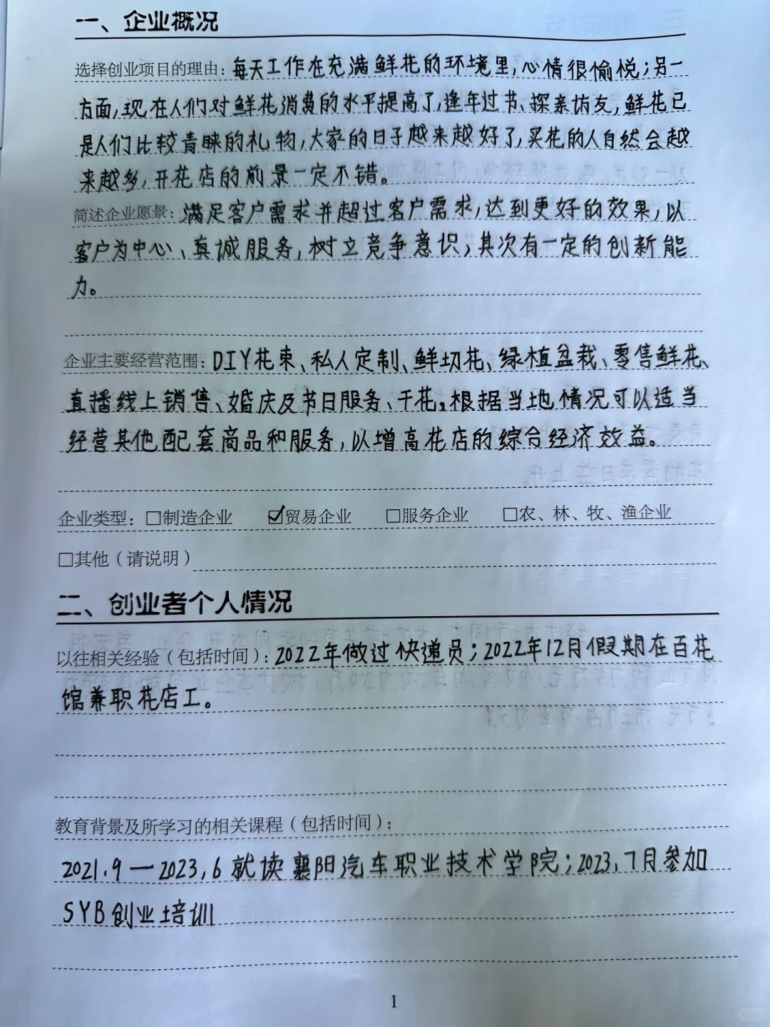 syb创业计划书