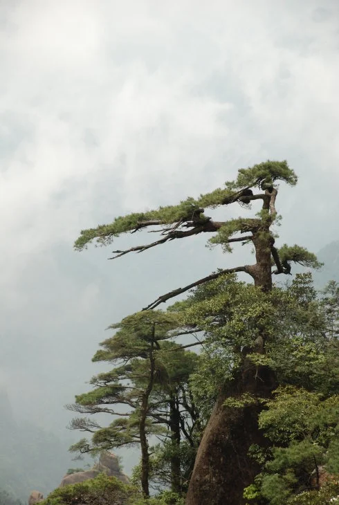 为什么企业都想上市？