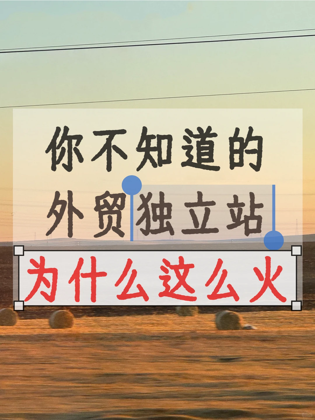 为什么外贸独立站现在这么火？