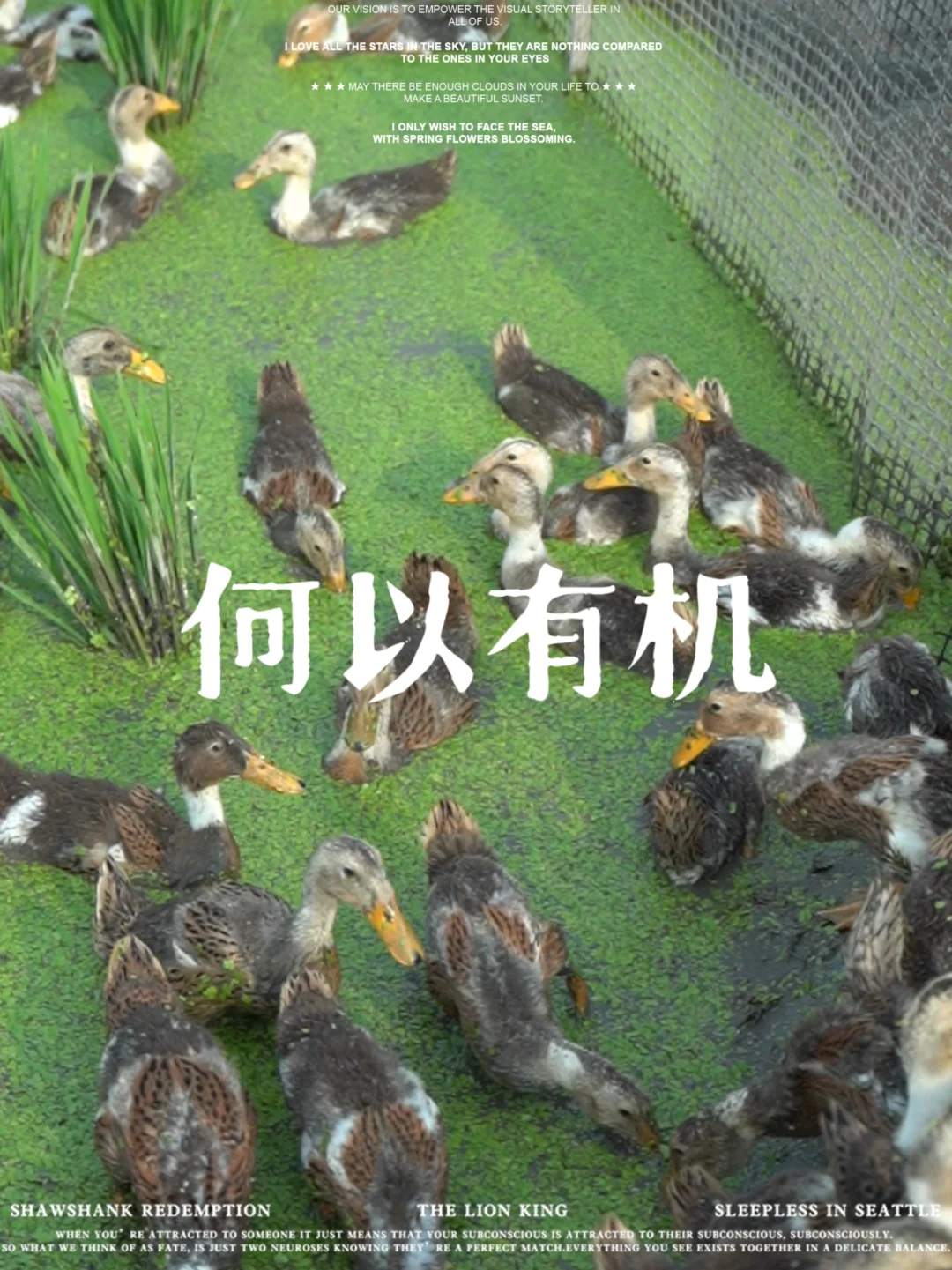 “我们今年少施有机肥了。”