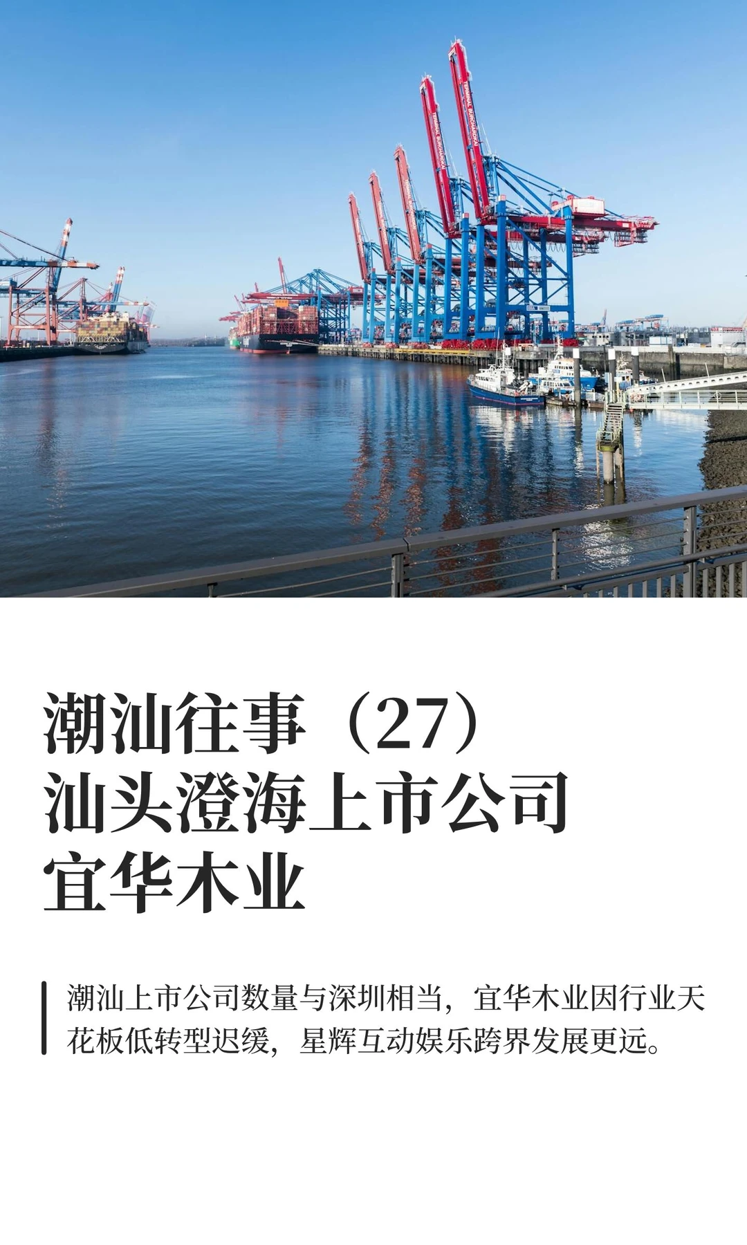 潮汕往事（27）汕头澄海上市公司宜华木业
