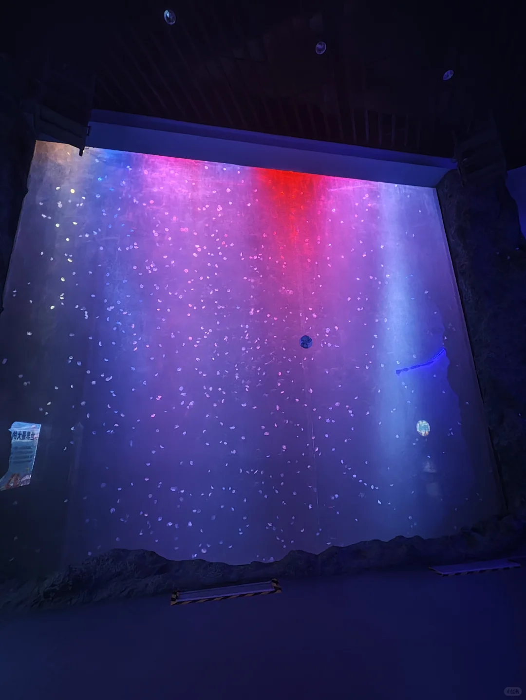 青岛世界园艺博览会现状 2025