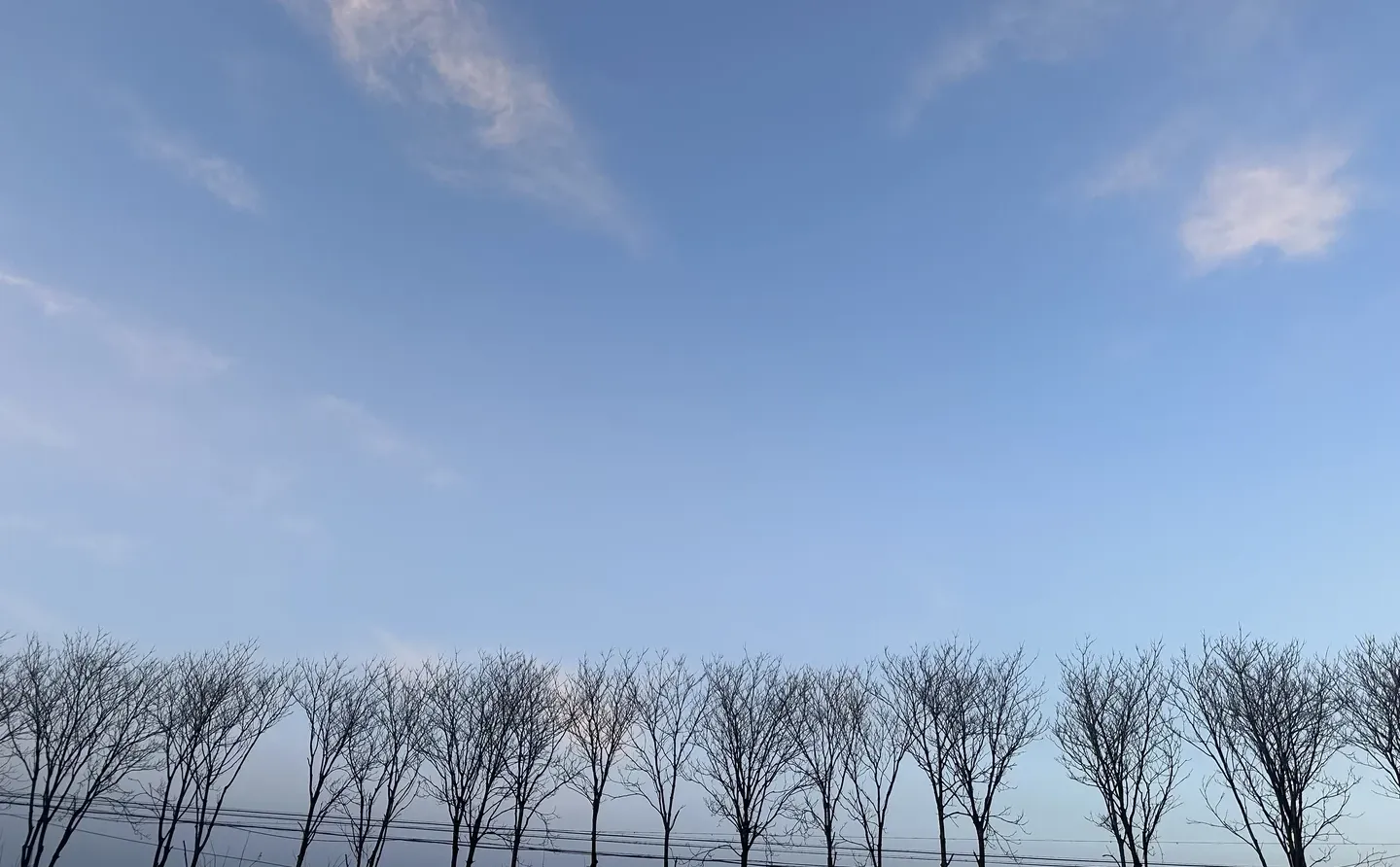 【每日早读】