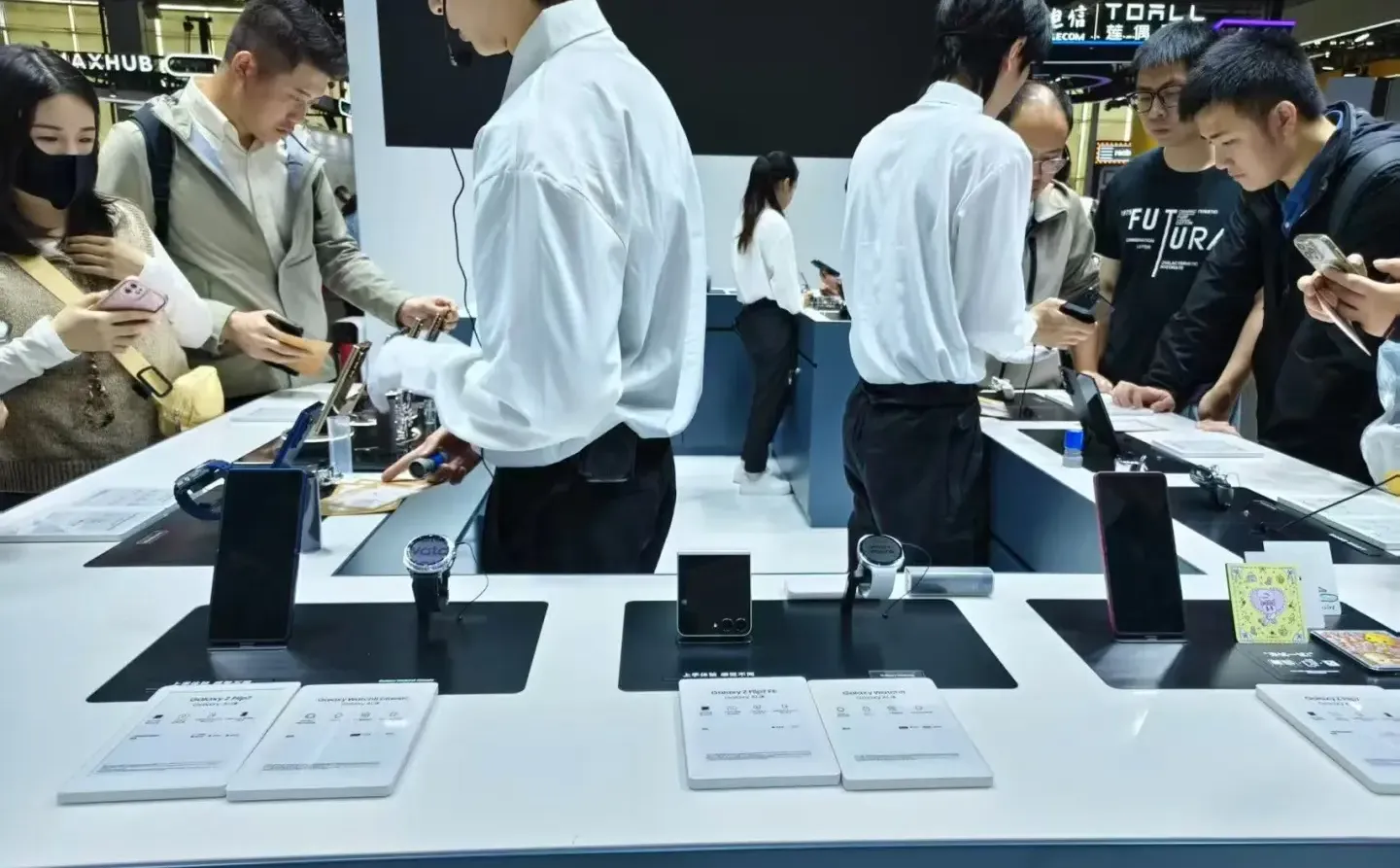 博览会来啦