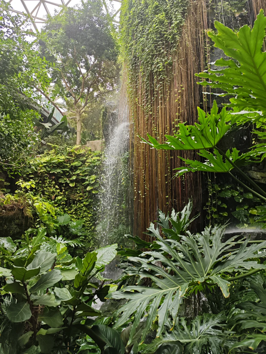 青岛世界园艺博览会现状 2025