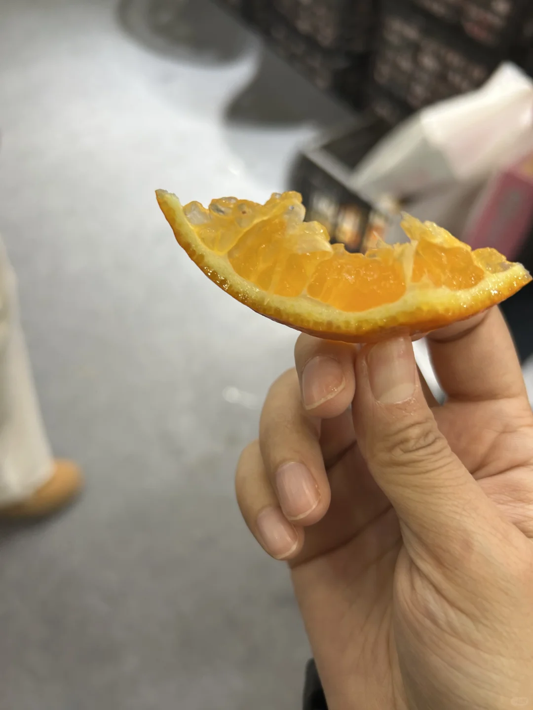 农展会