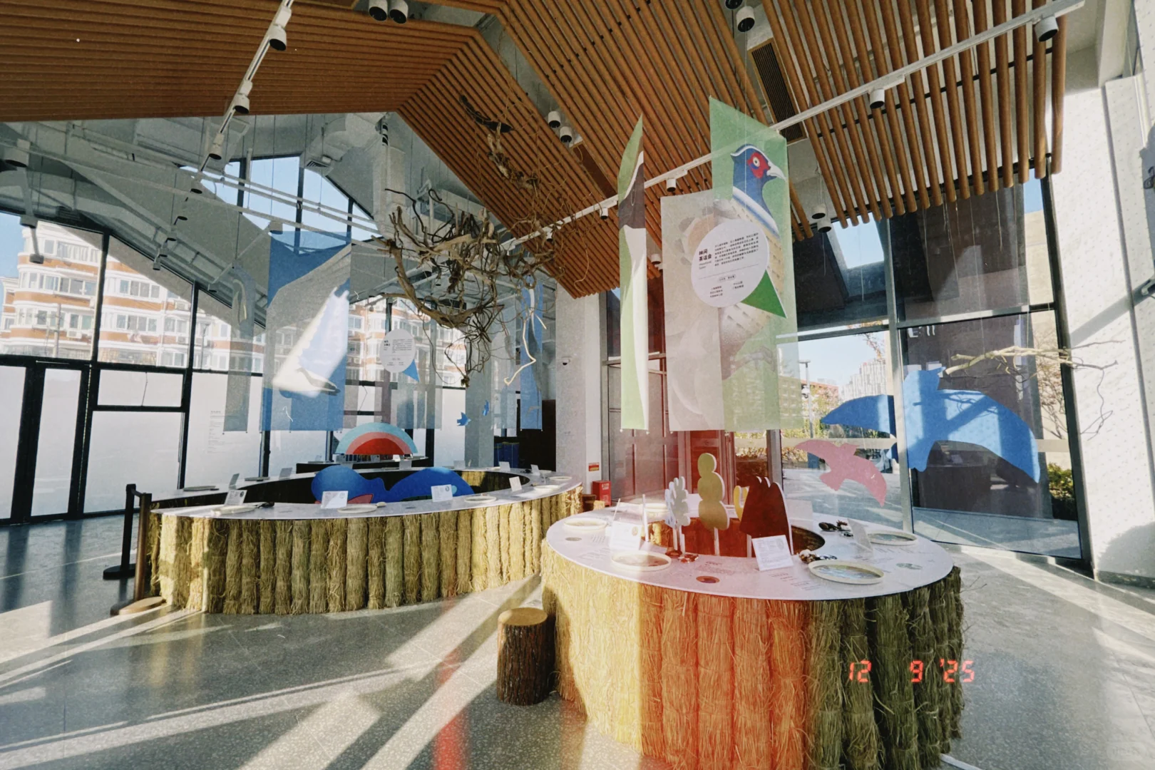 鸟鸟派对｜ 科普展