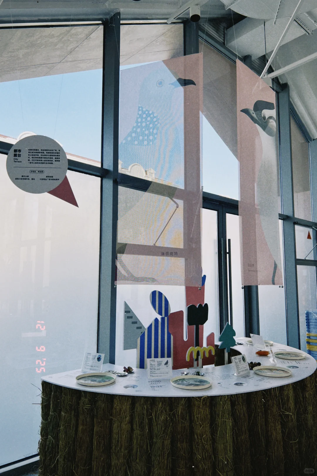 鸟鸟派对｜ 科普展