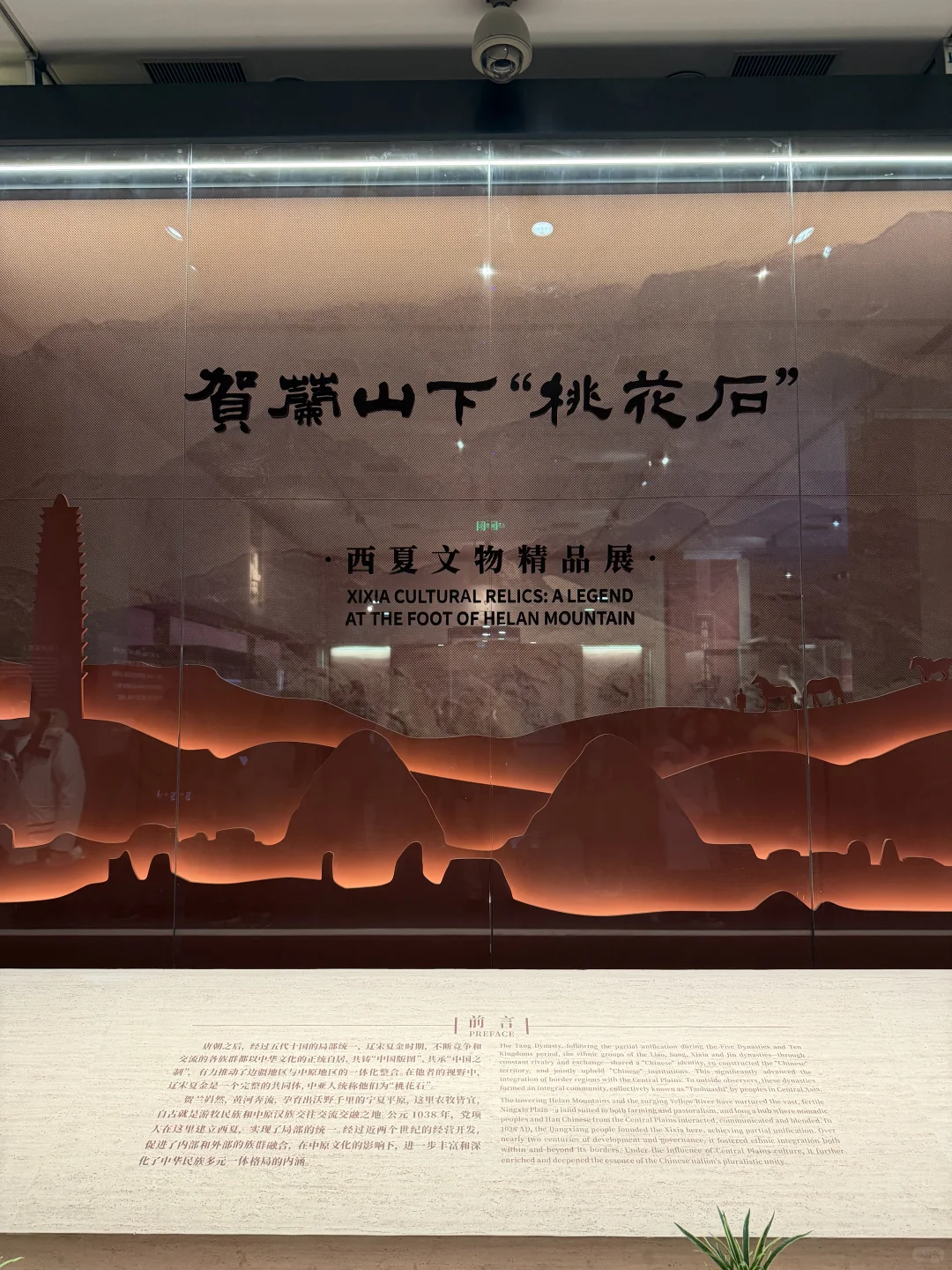西夏展的惊喜