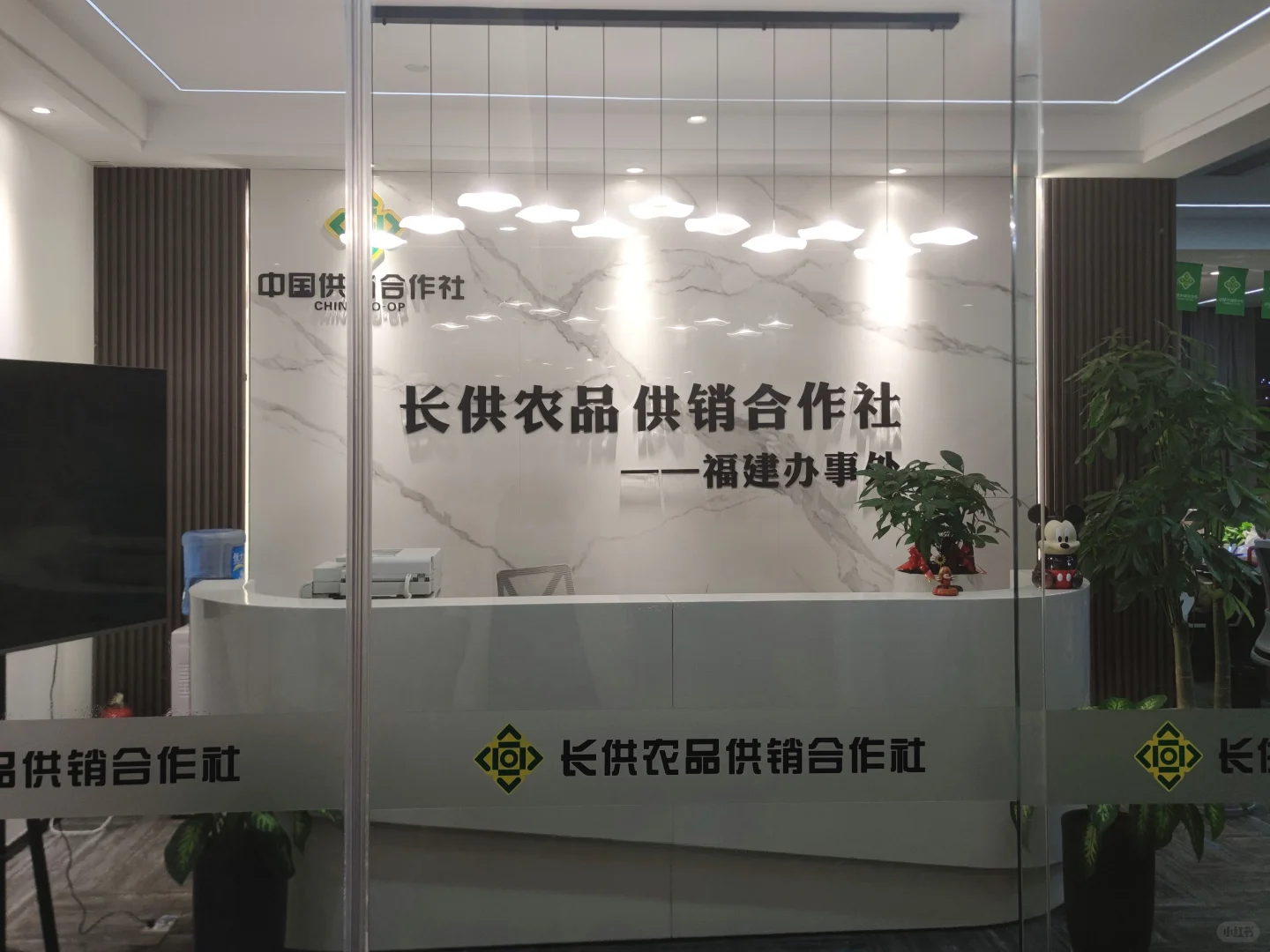 厦门中外商品博览会，食品，年货品