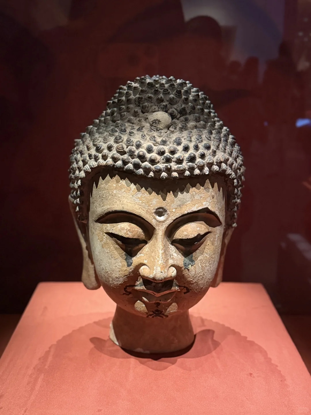 西夏展的惊喜