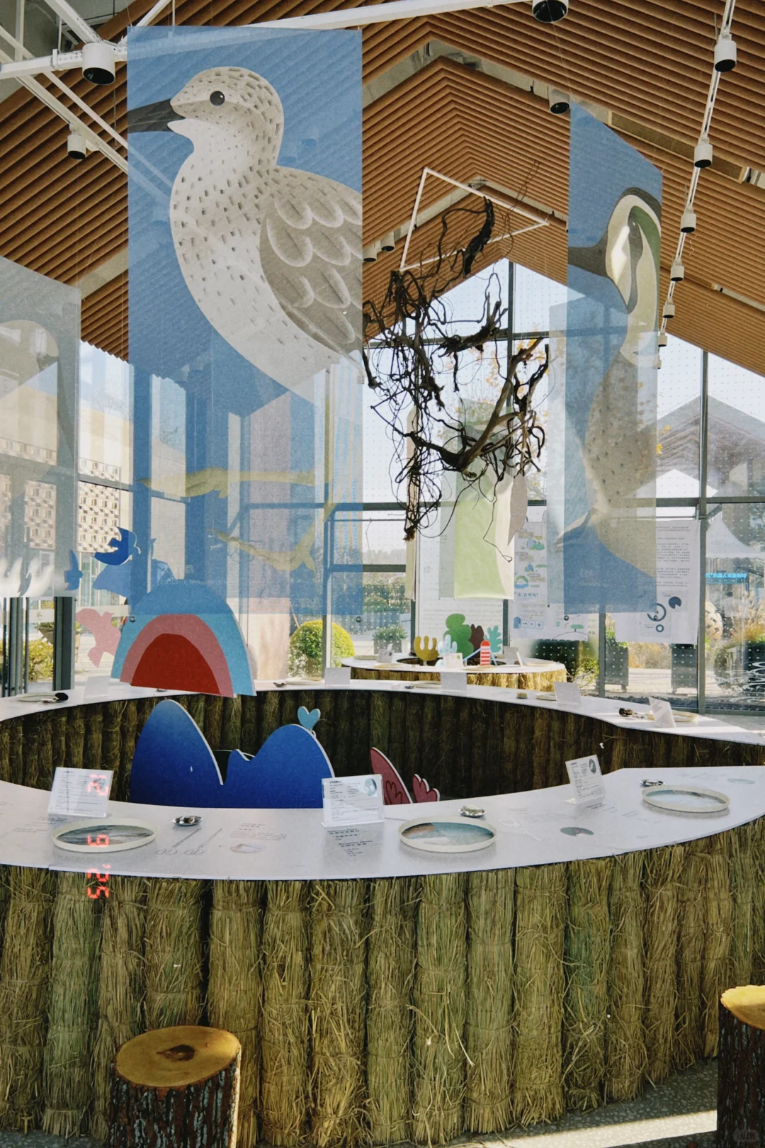 鸟鸟派对｜ 科普展