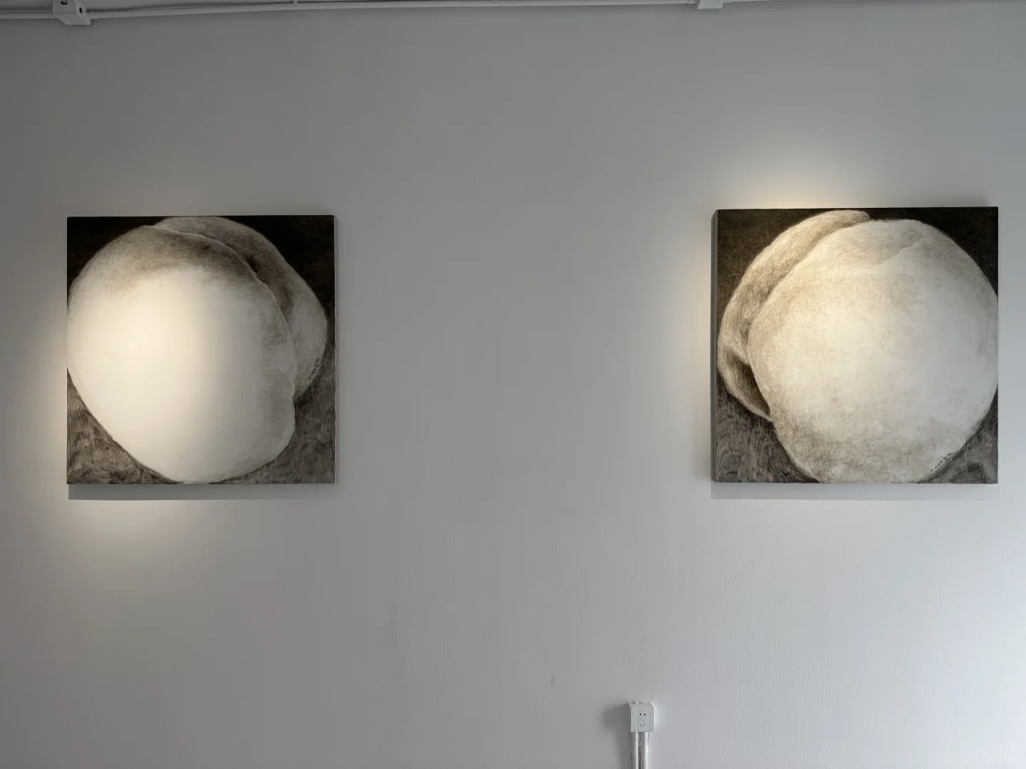 独属于看展的你?