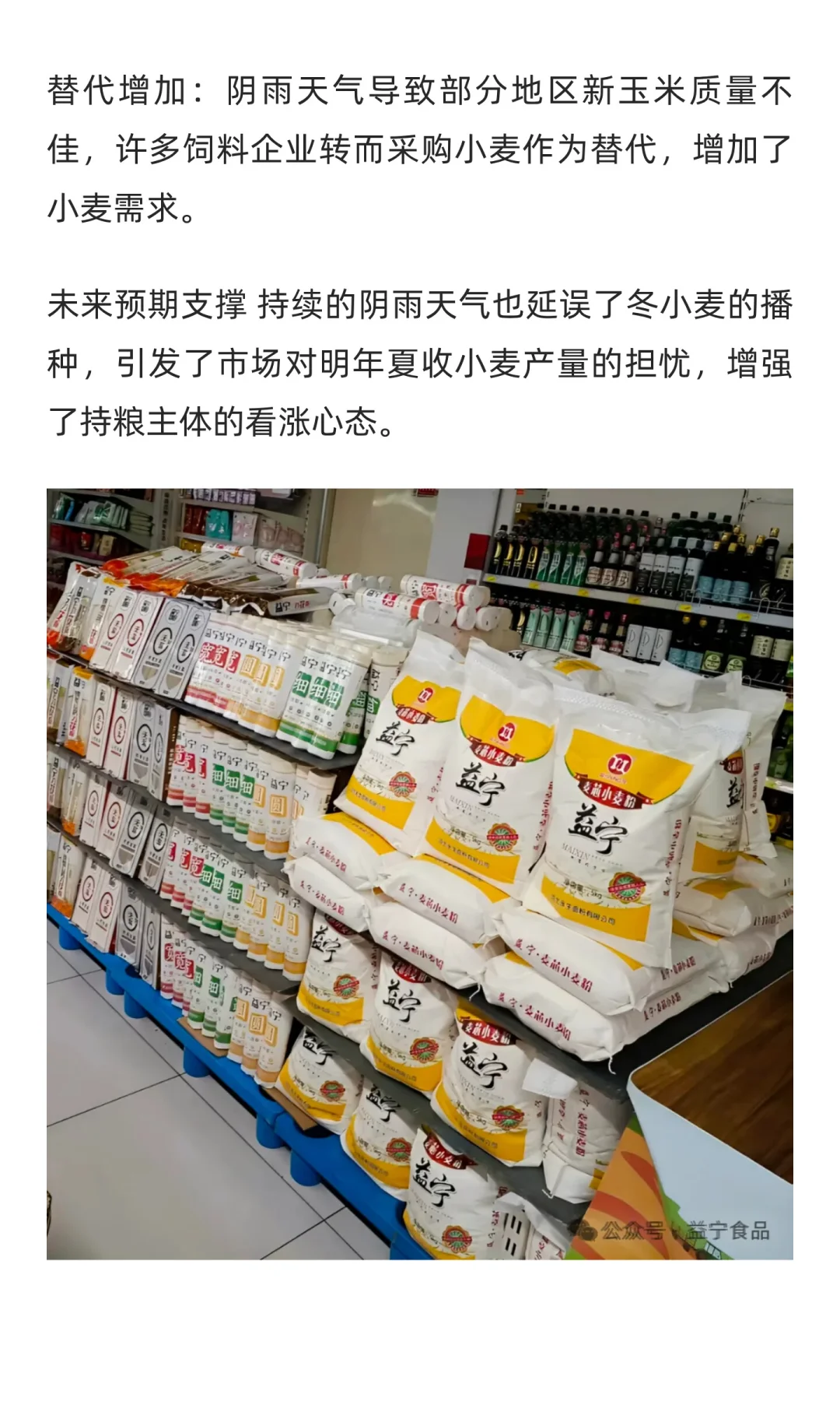 小麦价格上涨，面粉行业或迎“成本风暴”