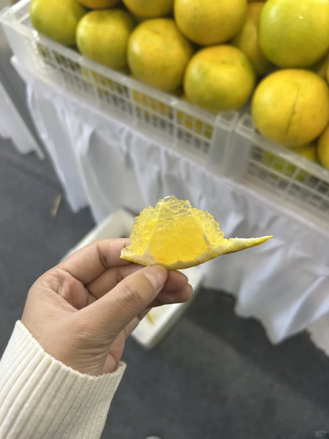 农展会