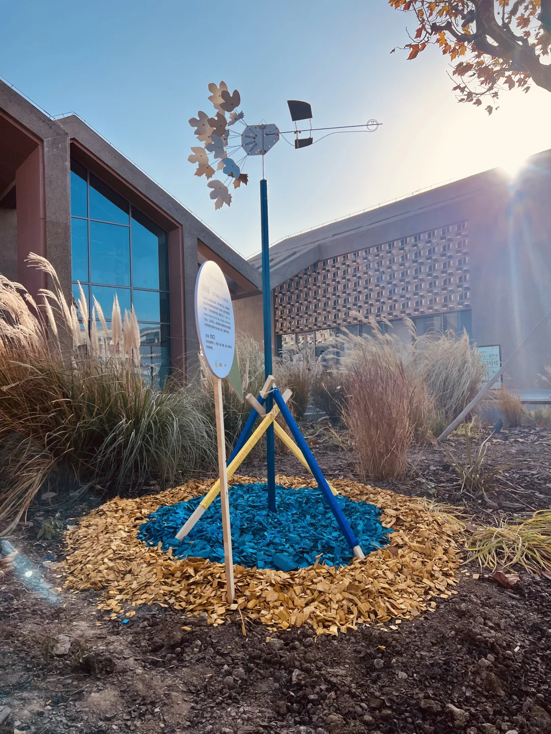 鸟鸟派对｜ 科普展