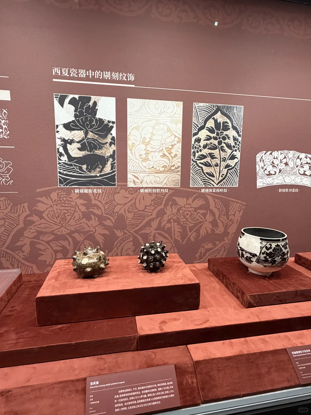 西夏展的惊喜