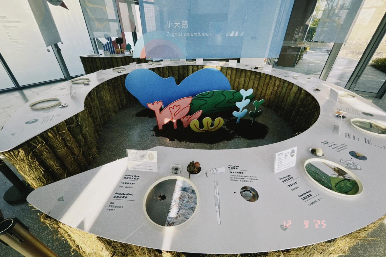 鸟鸟派对｜ 科普展