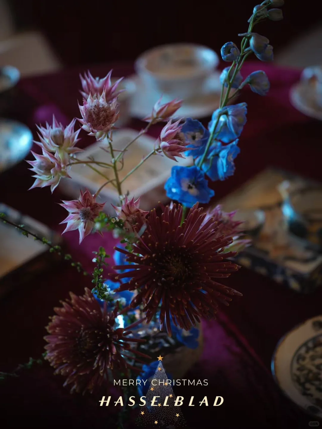 13号到15号 大连展会 铃木工友