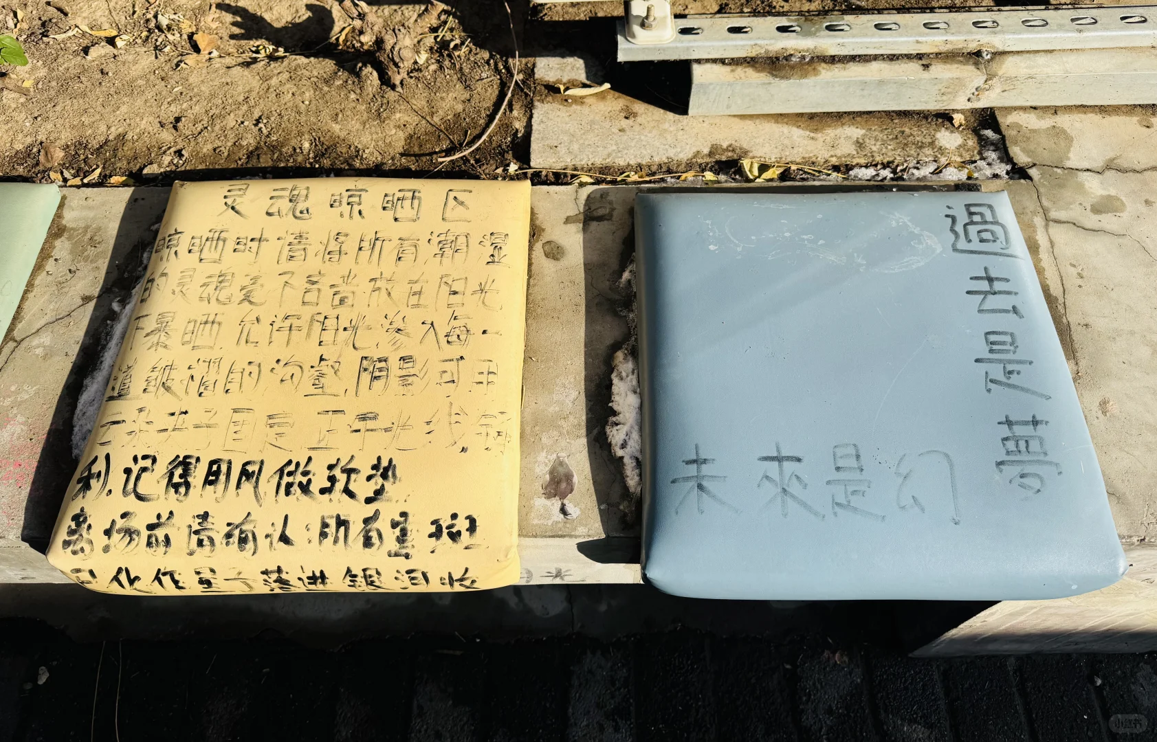 独属于看展的你?