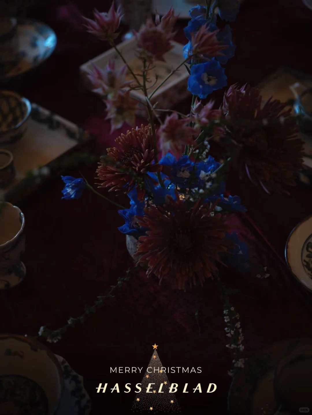 13号到15号 大连展会 铃木工友