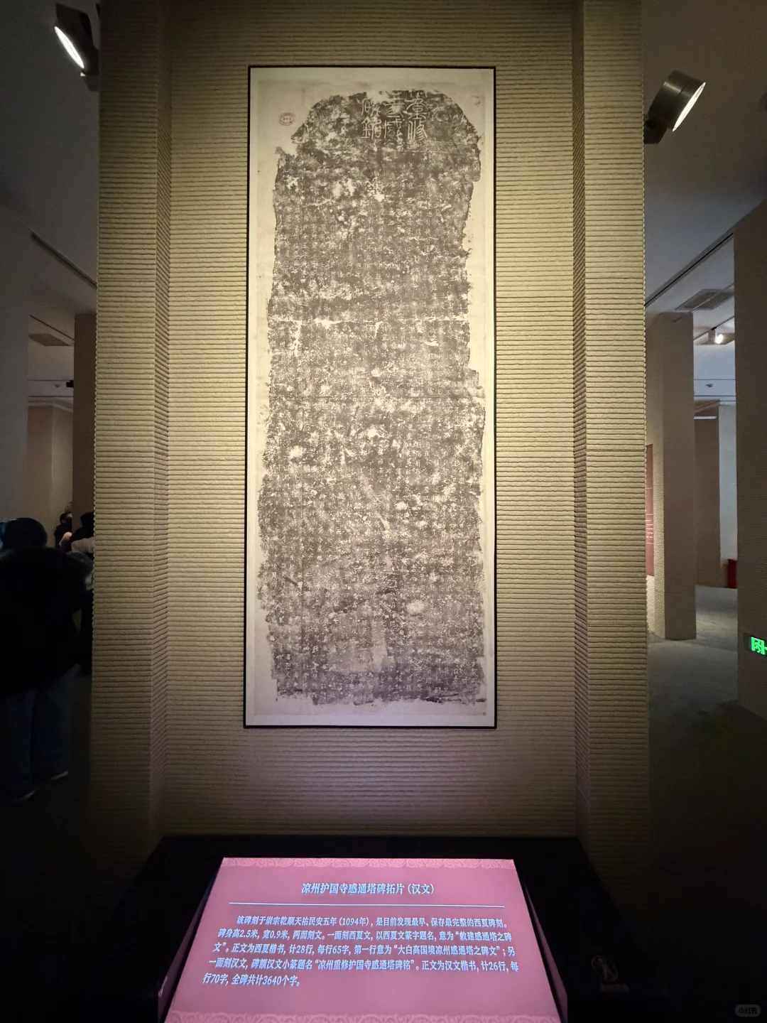 西夏展的惊喜