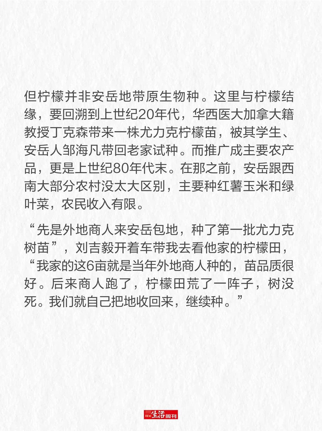 柠檬价格暴涨，我们要失去柠檬水自由了吗？