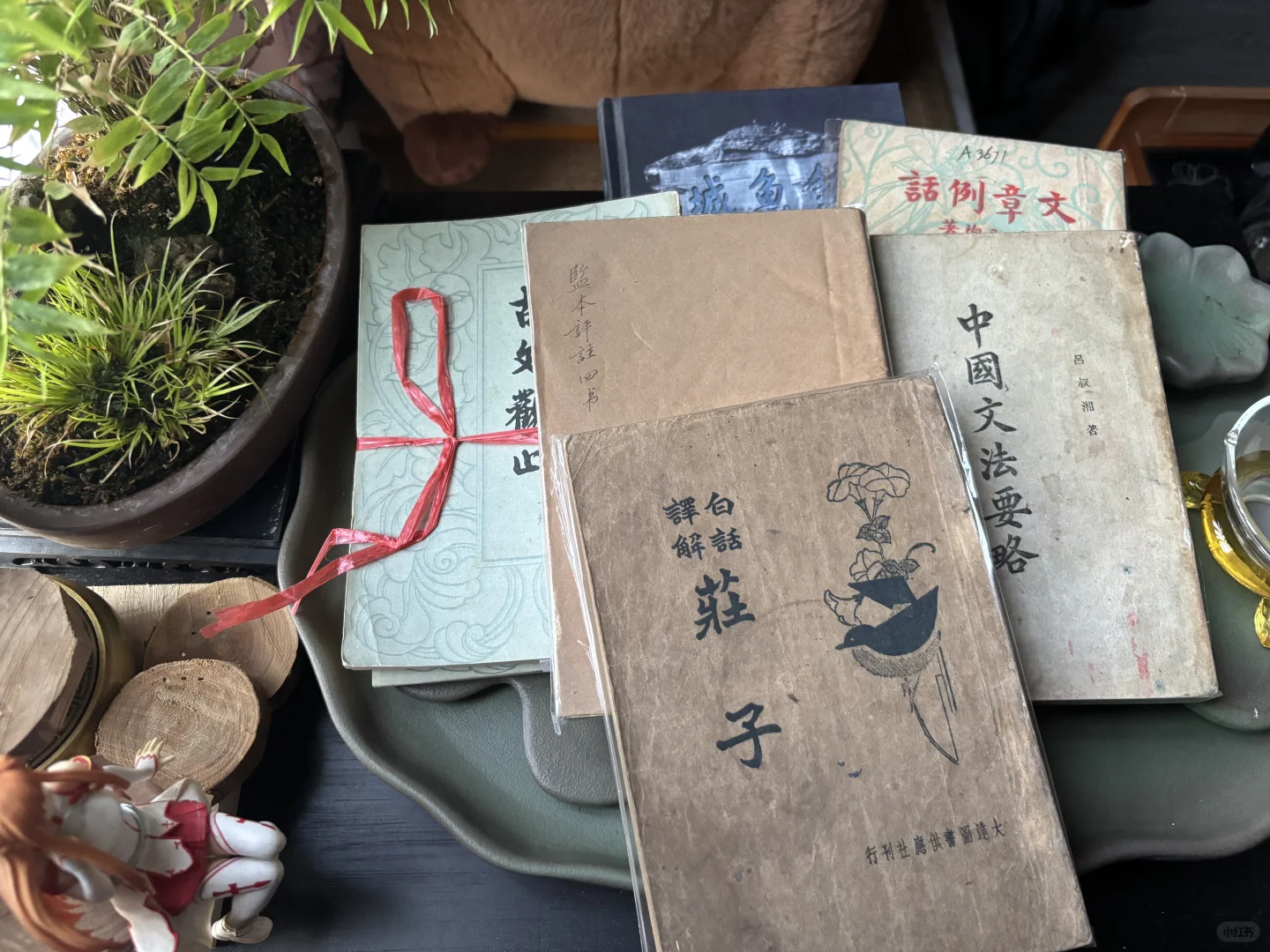读书人过年了：第33届全国图书交易博览会