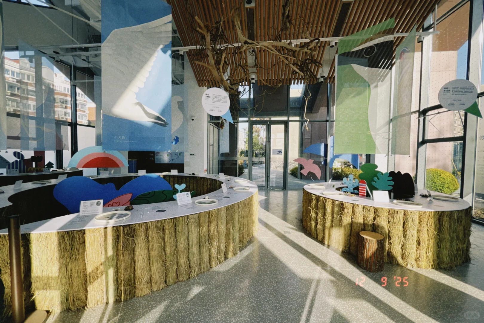 鸟鸟派对｜ 科普展