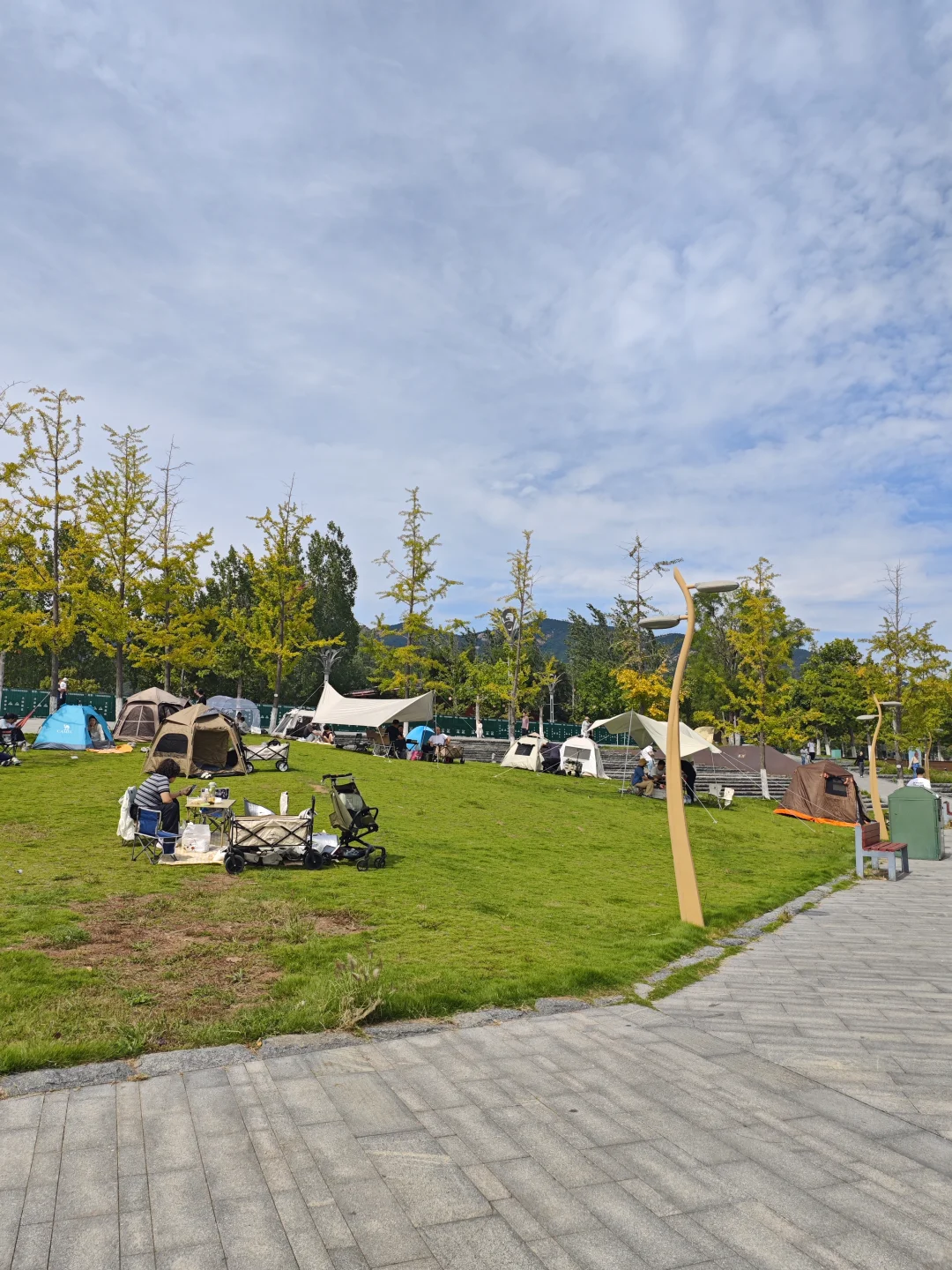 青岛世界园艺博览会现状 2025