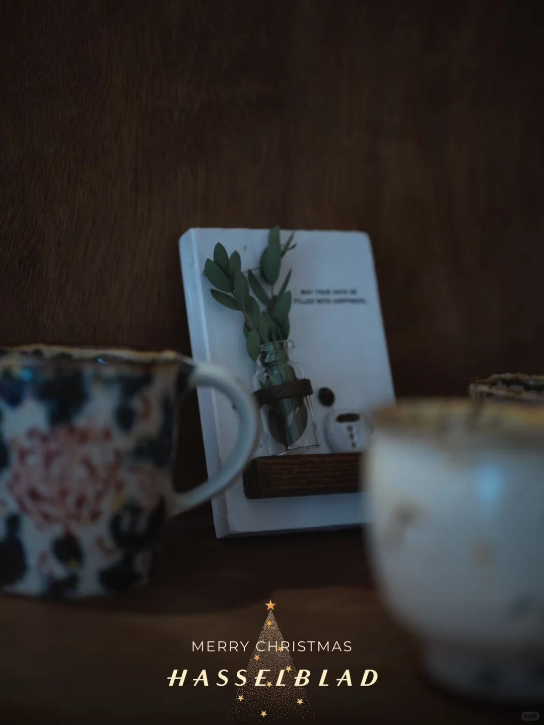 13号到15号 大连展会 铃木工友