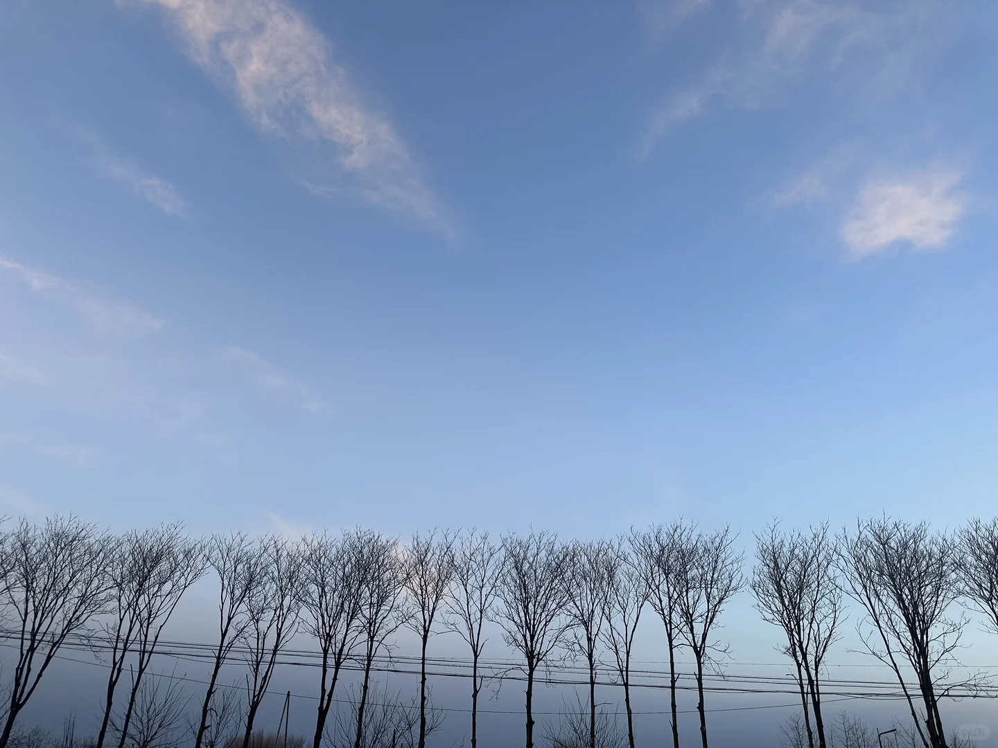 【每日早读】