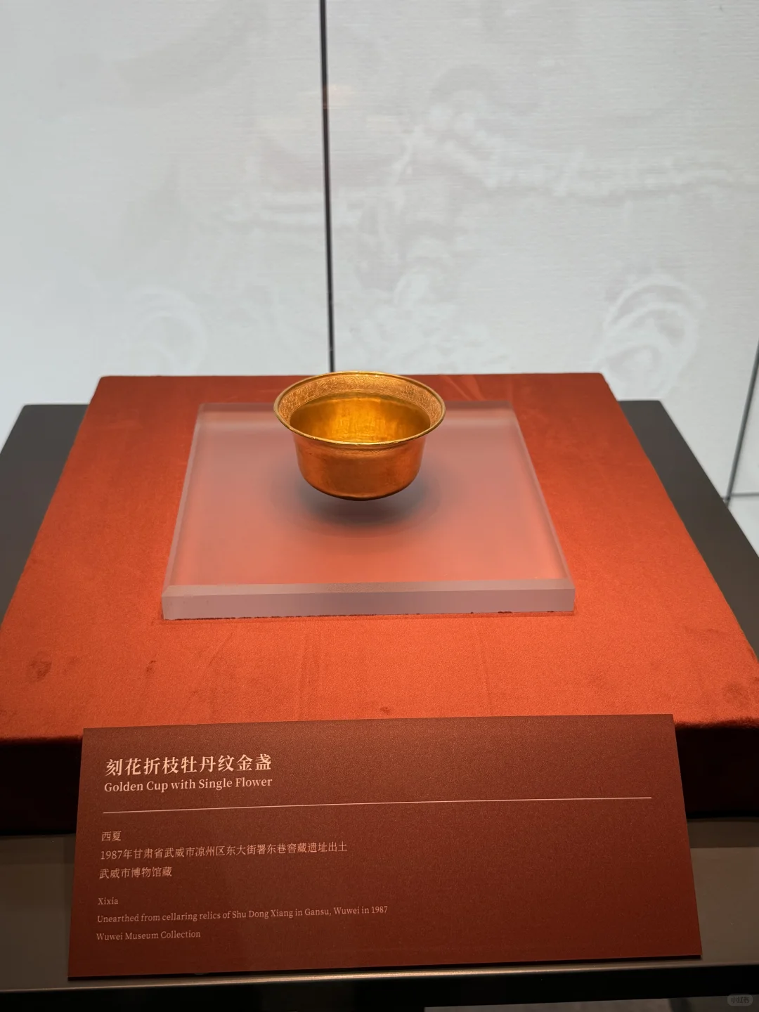 西夏展的惊喜