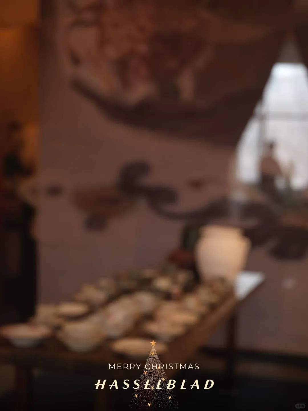 13号到15号 大连展会 铃木工友