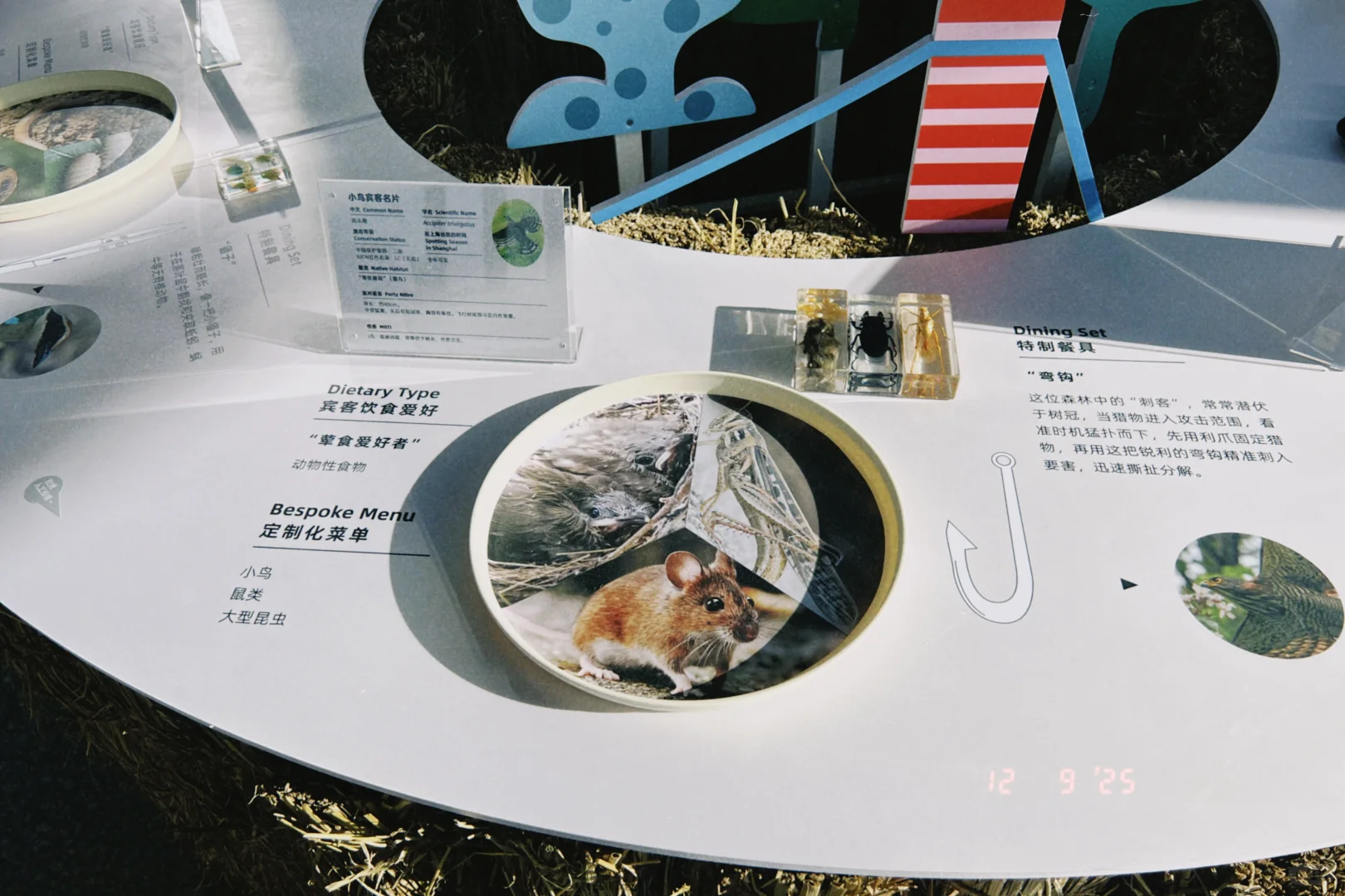 鸟鸟派对｜ 科普展