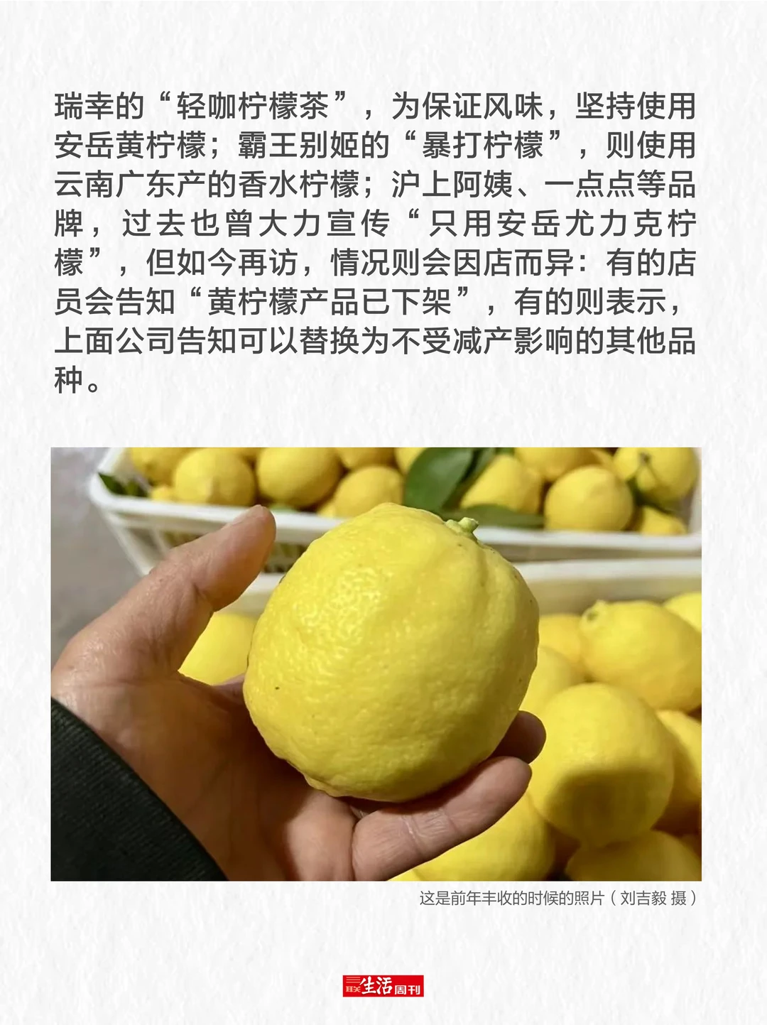 柠檬价格暴涨，我们要失去柠檬水自由了吗？