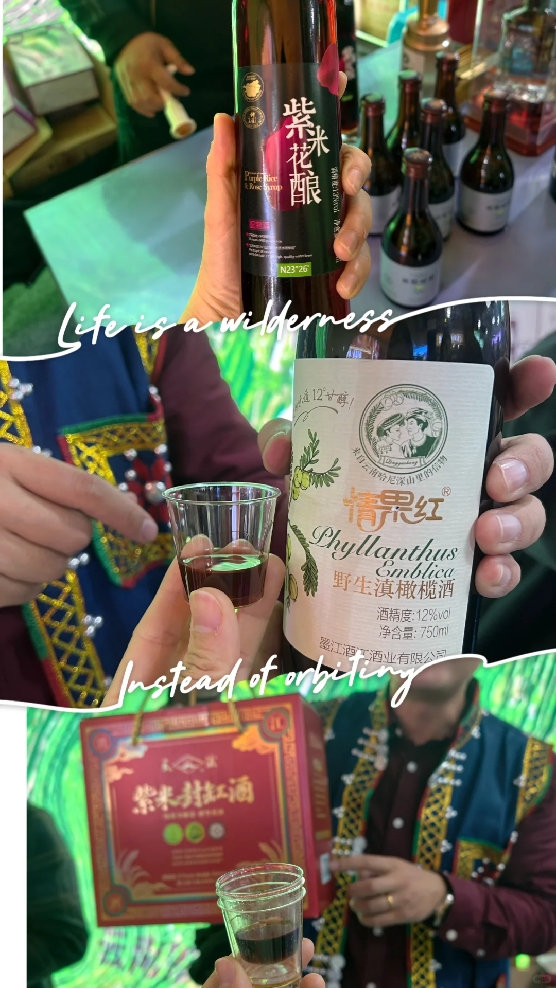 我在普洱喝咖啡