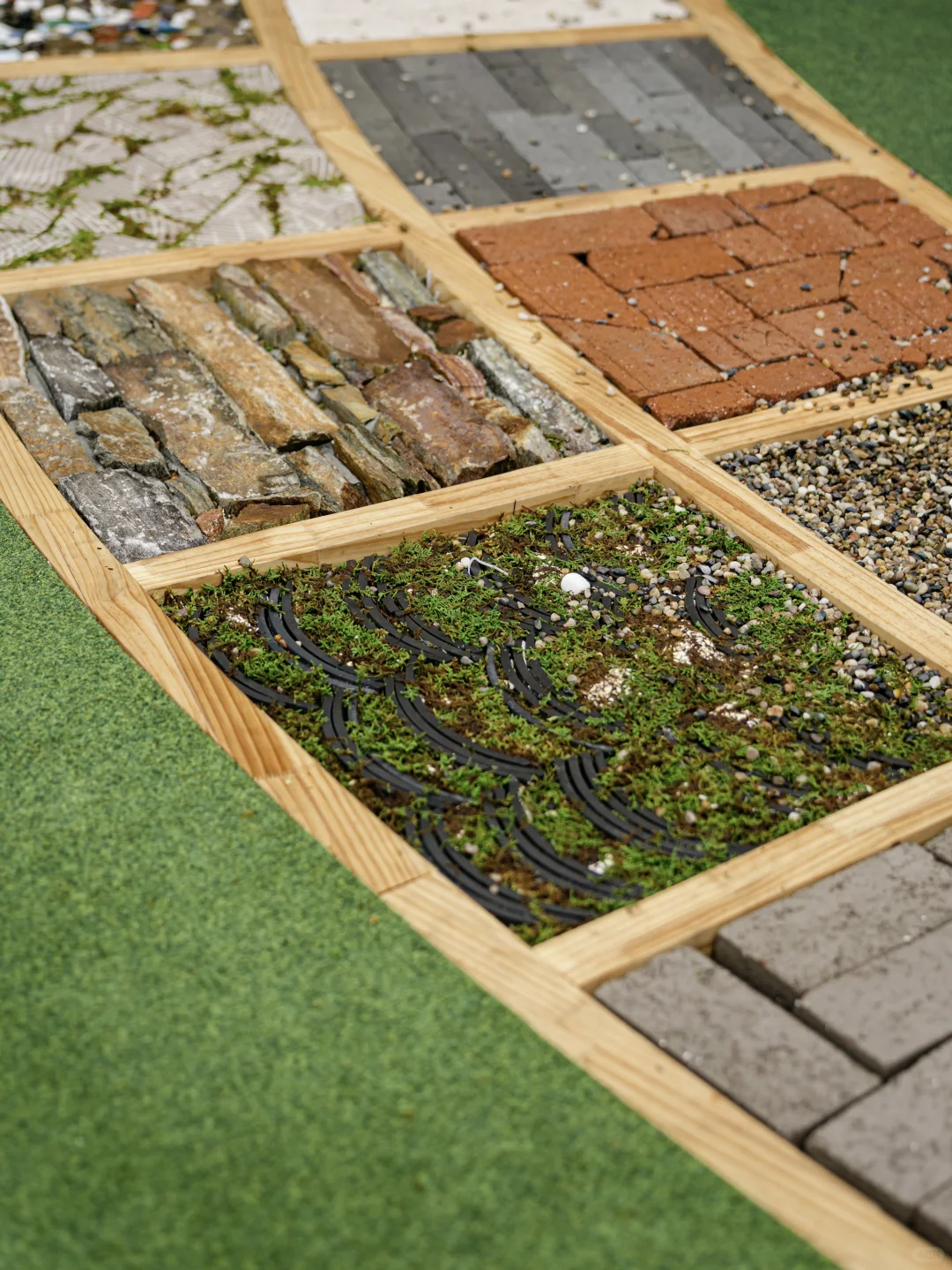 吹泡泡的大象，邀你打卡自然乐园