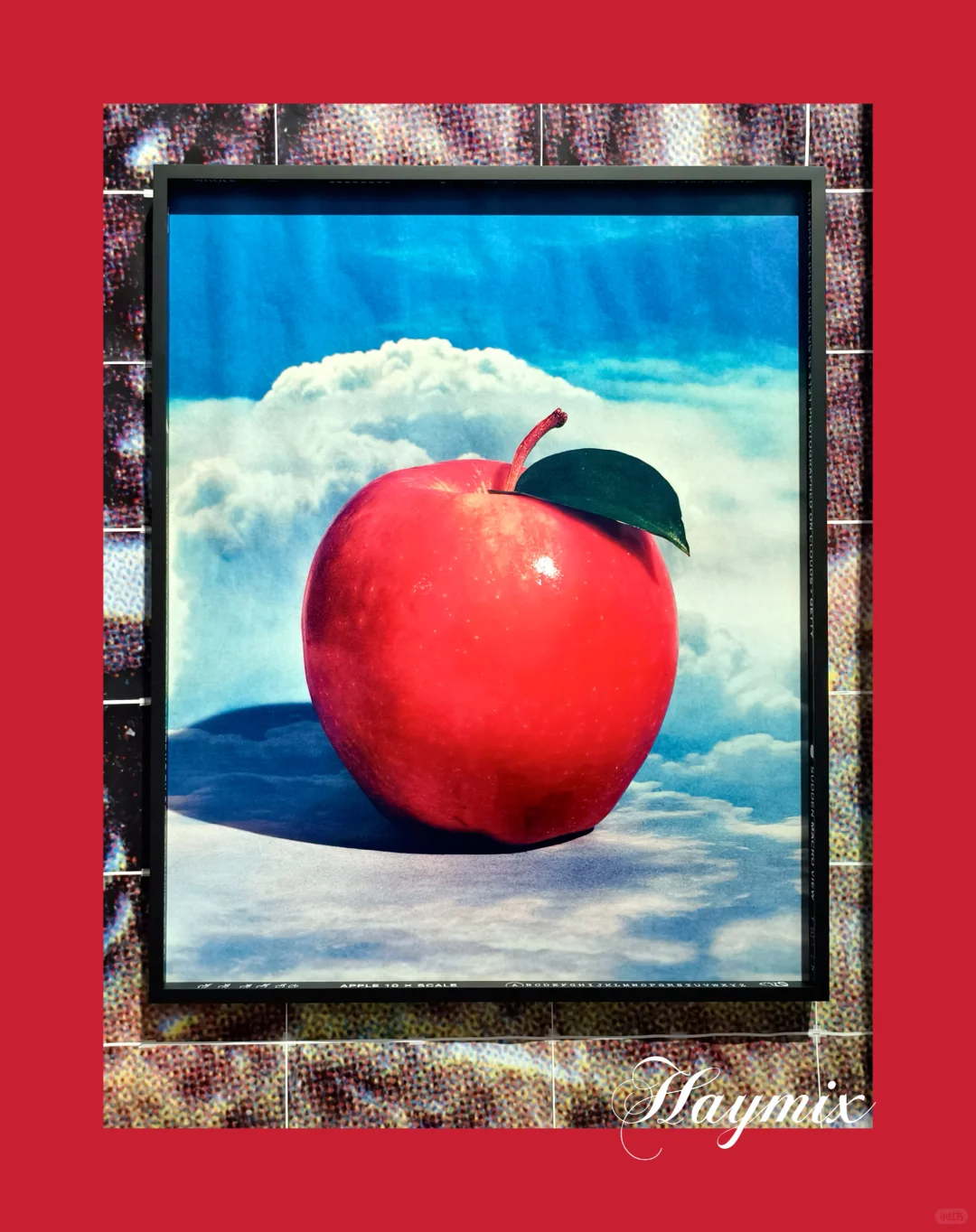 上海看展—第十五届上海双年展花儿听到蜜蜂